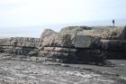 Portion of winged channelized turbidite from Upper Carboniferous Ross Sandstone formation, Western Ireland (Ellliot 2000 a)